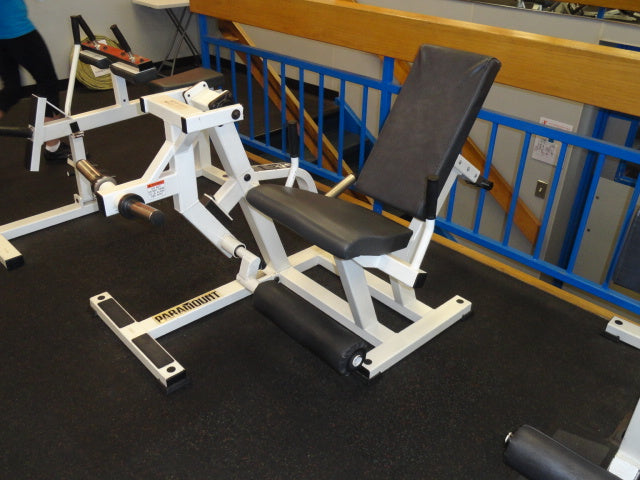 Paramount Leg Extension FW-100