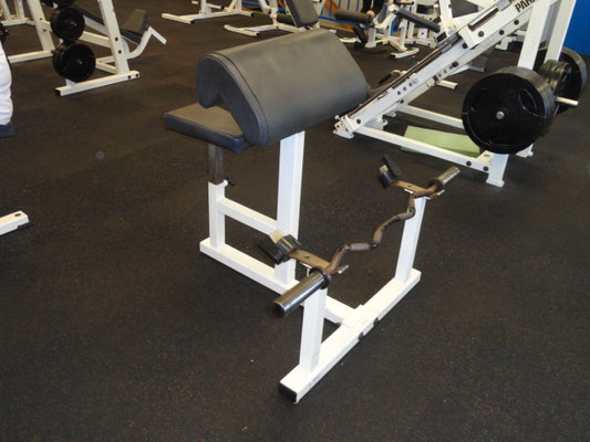 Paramount Fitness Preacher Curl Bench w/ EZ Curl Bar
