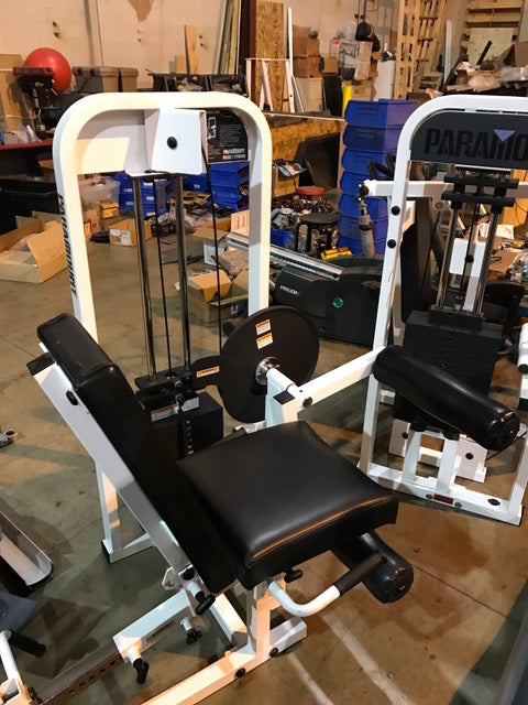 Paramount Leg Curl/Leg Extension dual piece