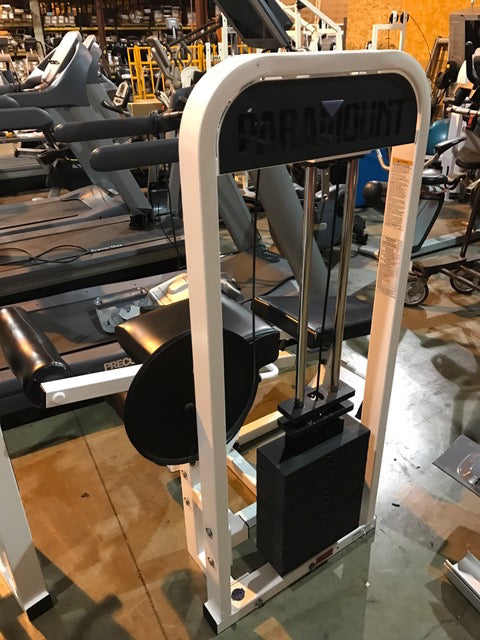 Paramount Leg Curl/Leg Extension dual piece