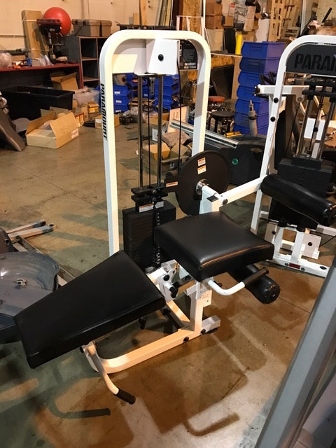 Paramount Leg Curl/Leg Extension dual piece