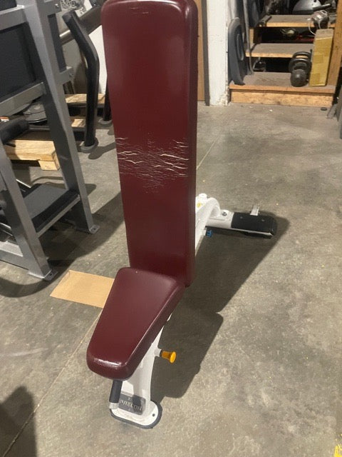 Precor Commercial Series Multi-Adjustable Weight Bench DBR0119