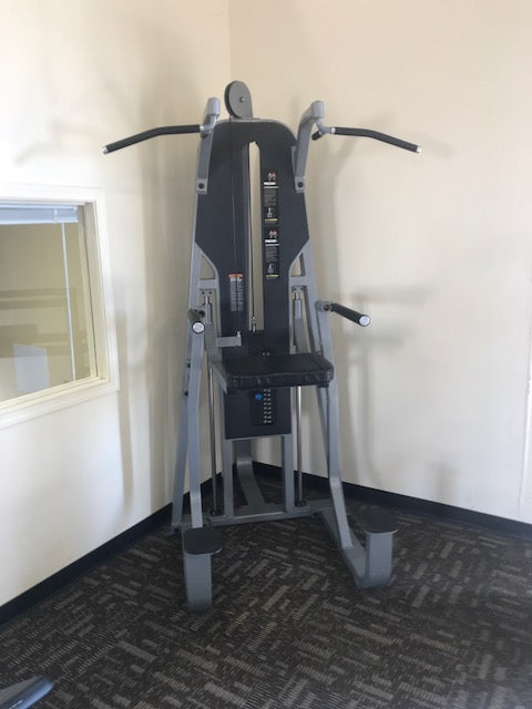 Precor Icarian Chin Dip Assist 320