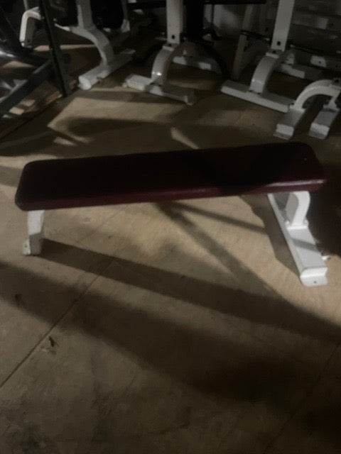Precor Icarian Flat Bench 101