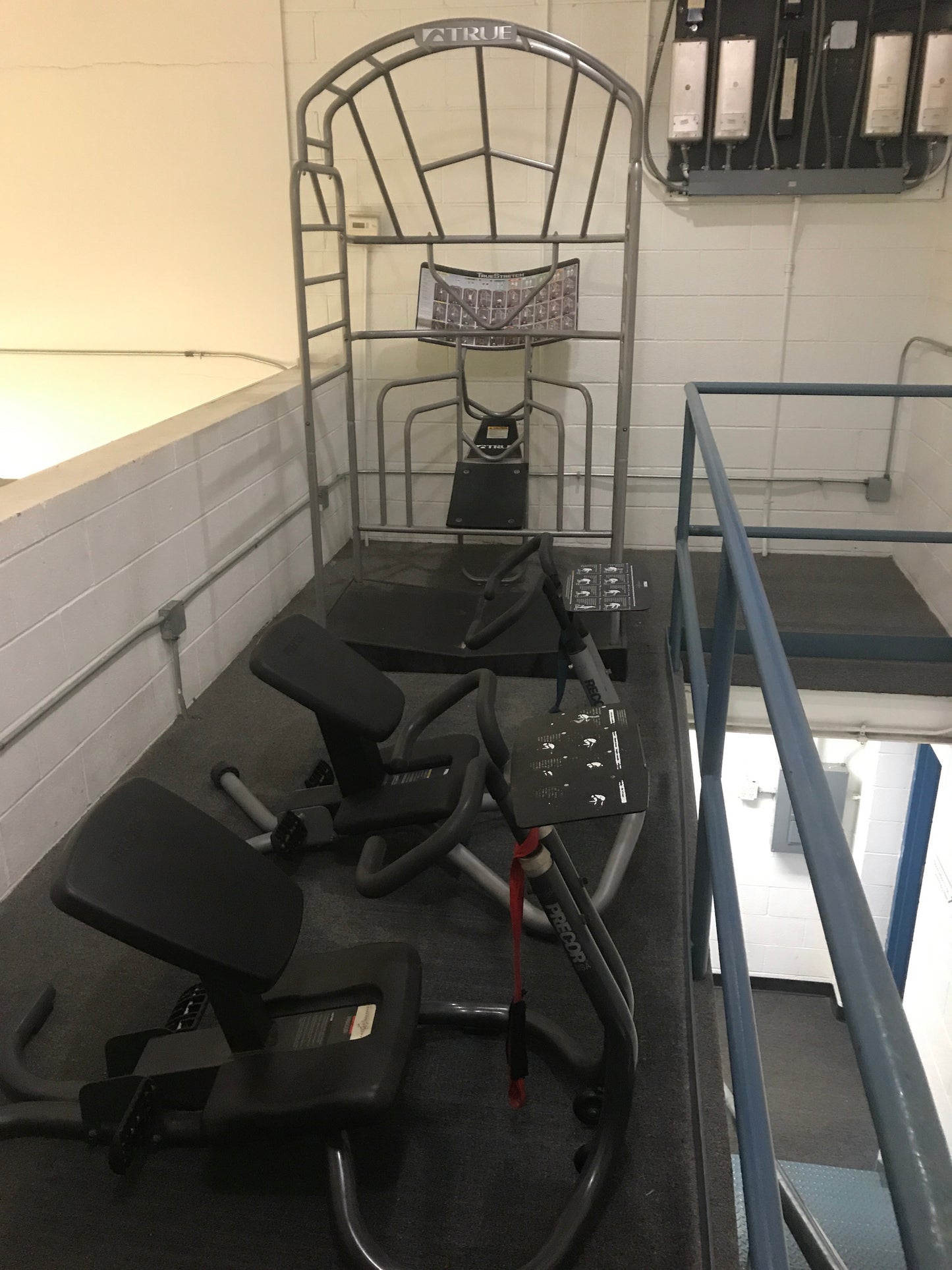 True Fitness Stretch Station
