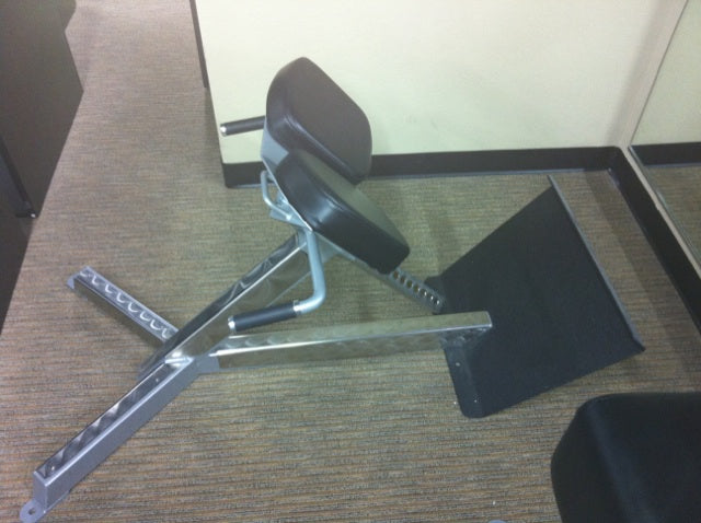 Freemotion Epic 45 degree back extension/hyperextention