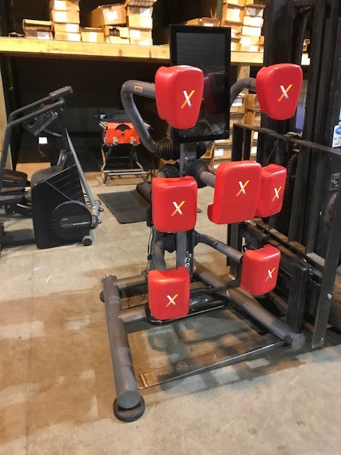Nexersys Interactive Boxing Mixed Martial Arts Trainer