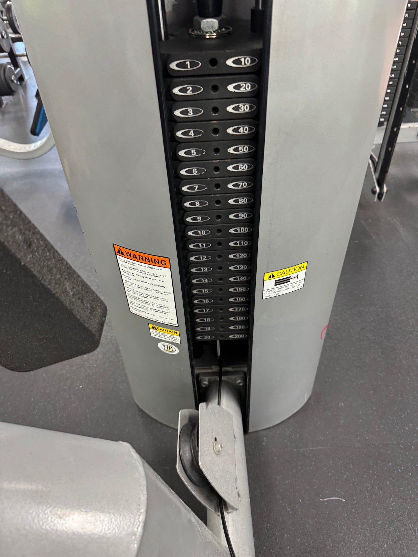 Freemotion Epic Leg Extension GZFI8013 & Freemotion Seated Leg Curl GZFI8038