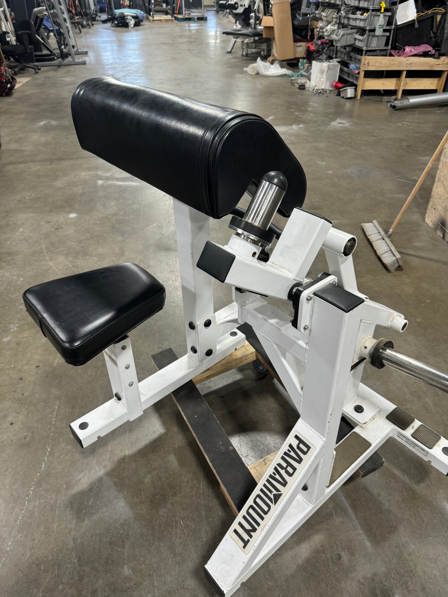 Paramount FW-600 Bicep Curl (plate loaded)