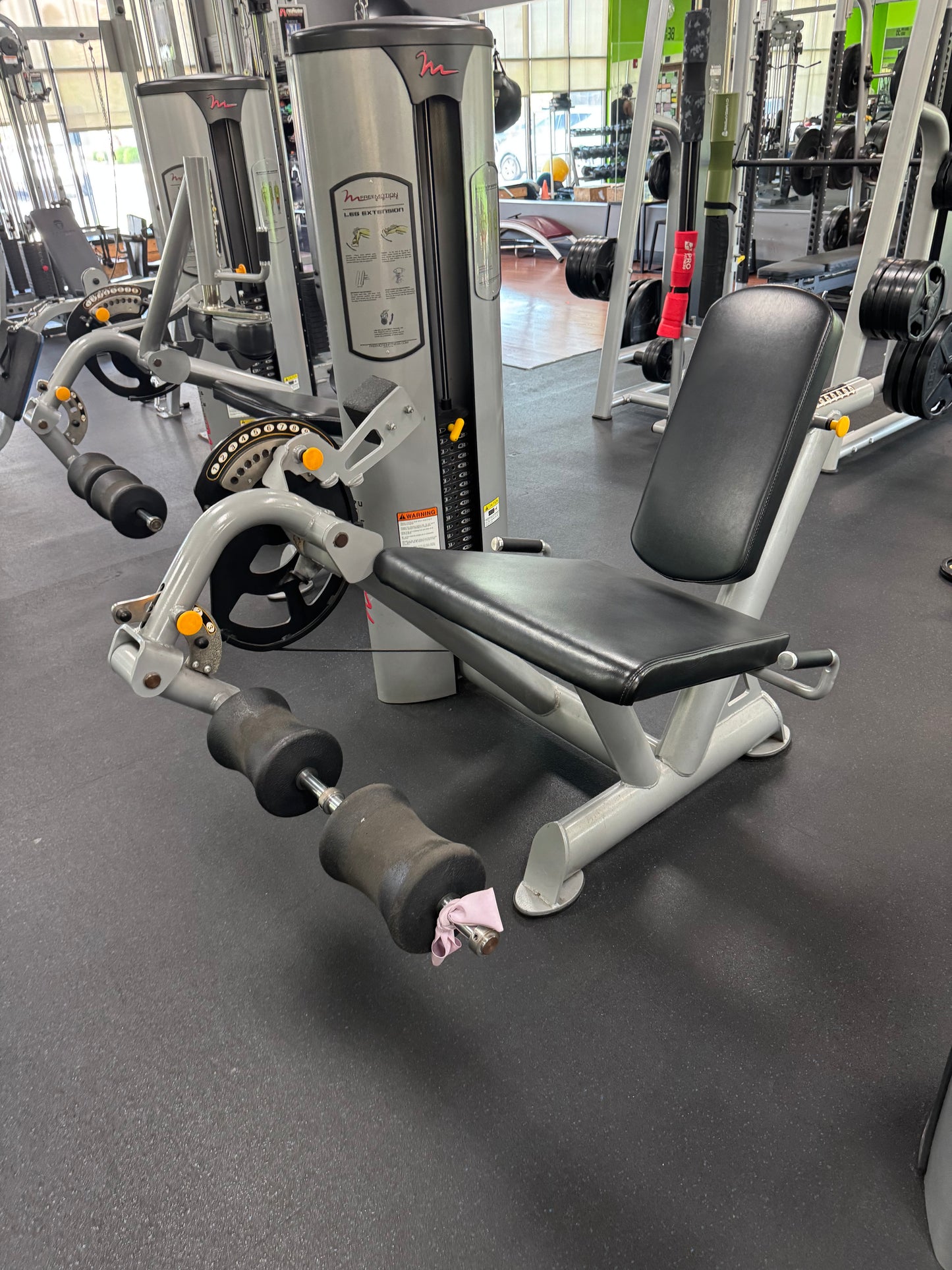 Freemotion Epic Leg Extension GZFI8013 & Freemotion Seated Leg Curl GZFI8038