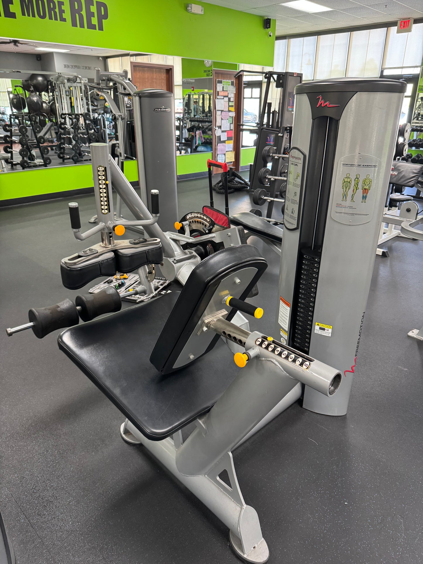 Freemotion Epic Leg Extension GZFI8013 & Freemotion Seated Leg Curl GZFI8038