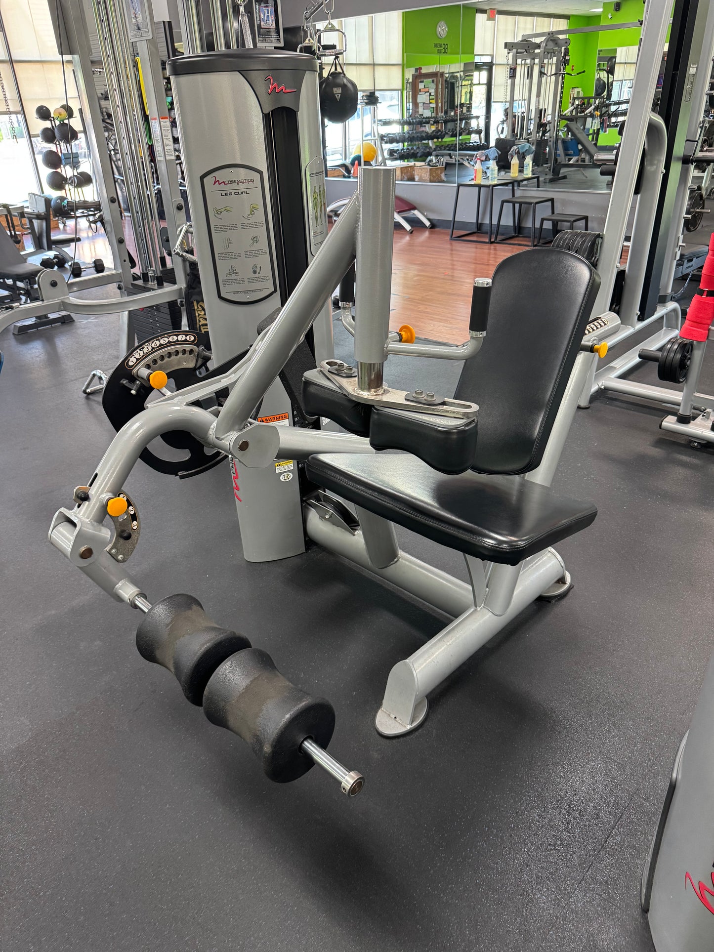 Freemotion Epic Leg Extension GZFI8013 & Freemotion Seated Leg Curl GZFI8038