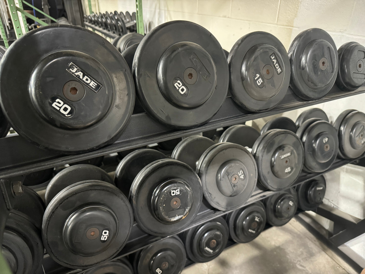 Jade Dumbbells Pro Style Dumbbells 5-100lbs