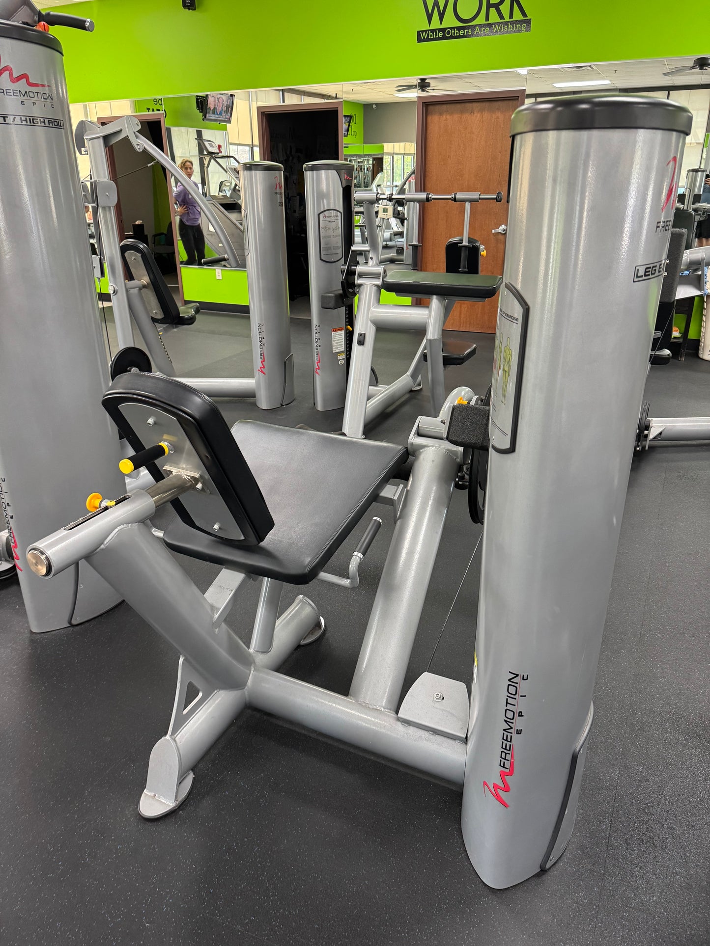 Freemotion Epic Leg Extension GZFI8013 & Freemotion Seated Leg Curl GZFI8038