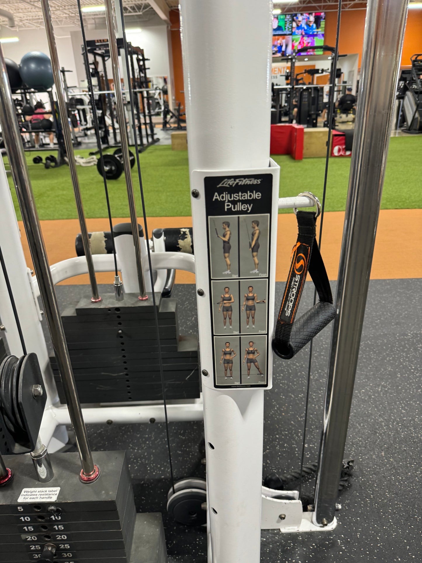 Life Fitness Hammer Strength MJ4 Jungle