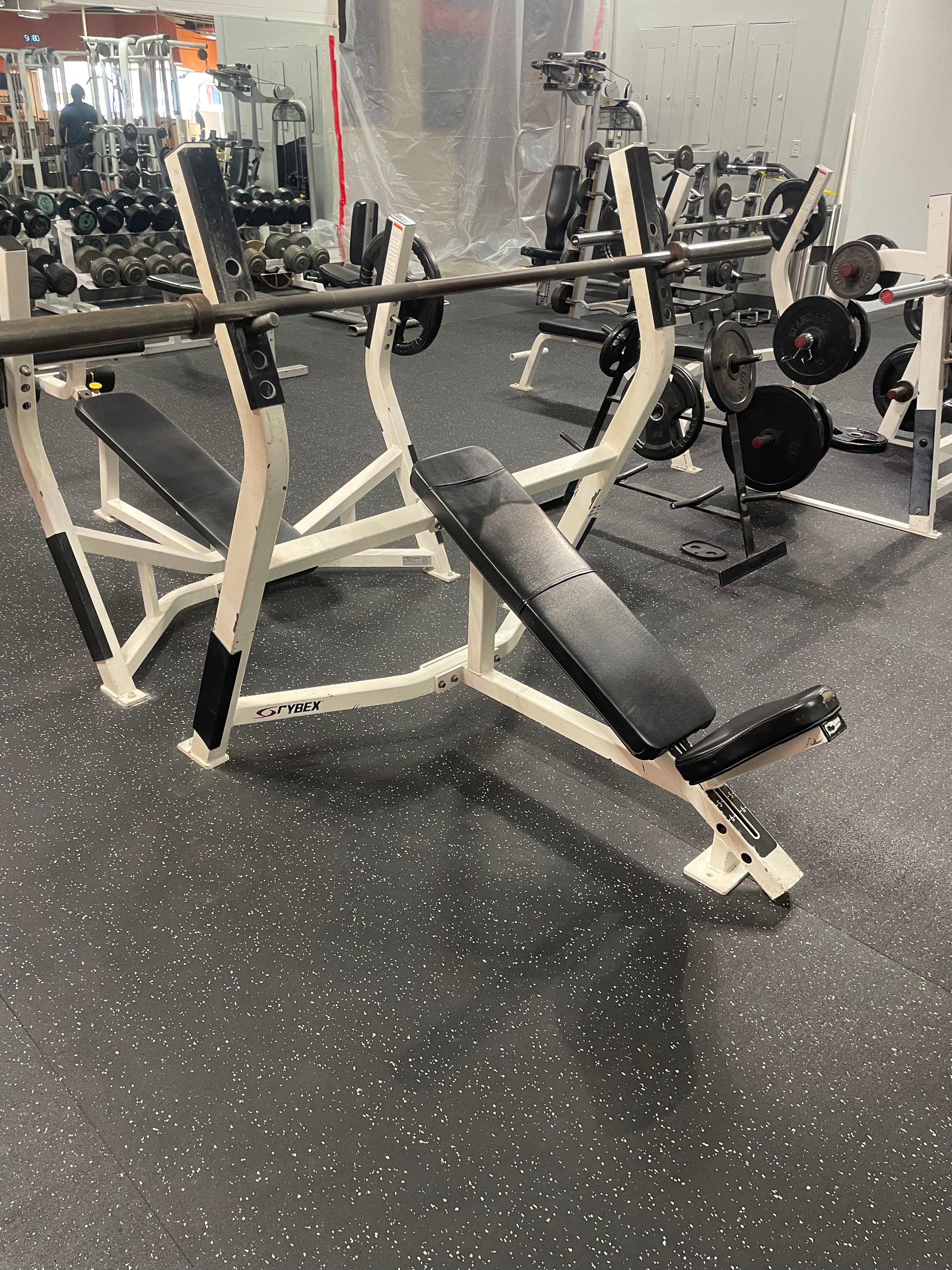 cybex bench press Cybex Olympic Bench Press Flat/Incline & Decline
