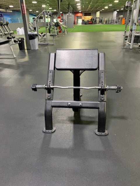 Preacher Curl Bench