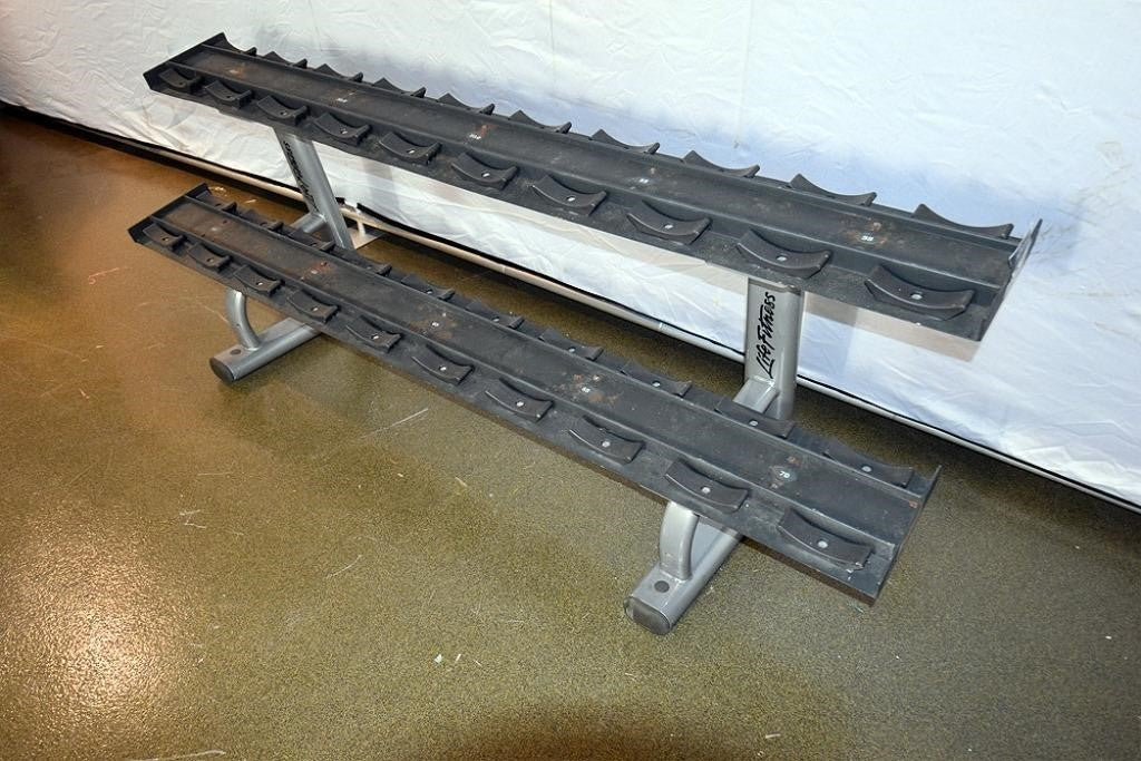Life Fitness 2 Tier Dumbbell Rack Signature Series – Midwest Used ...