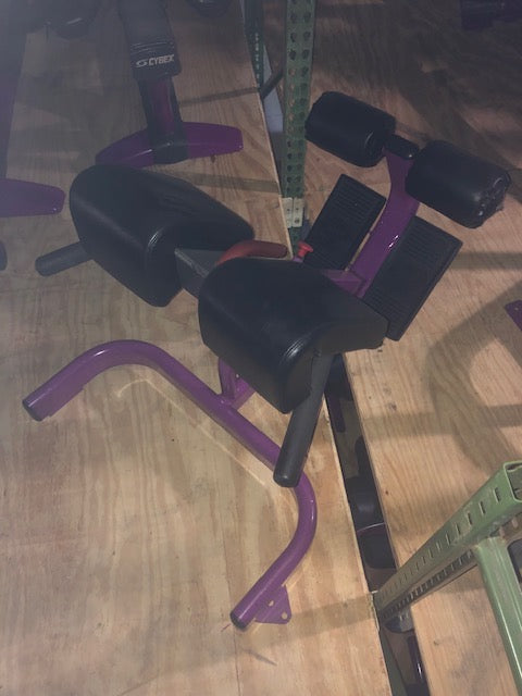 Body Masters 45 Degree Back Extension Hyperextension Bench FW 1216