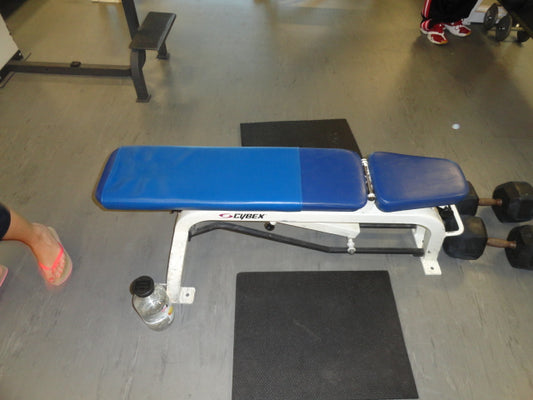 Cybex Adjustable Bench