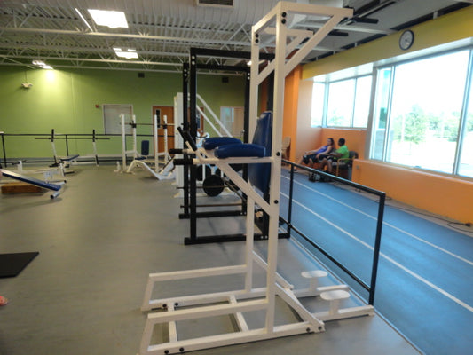 Cybex Chin Dip VKR Roman Chair