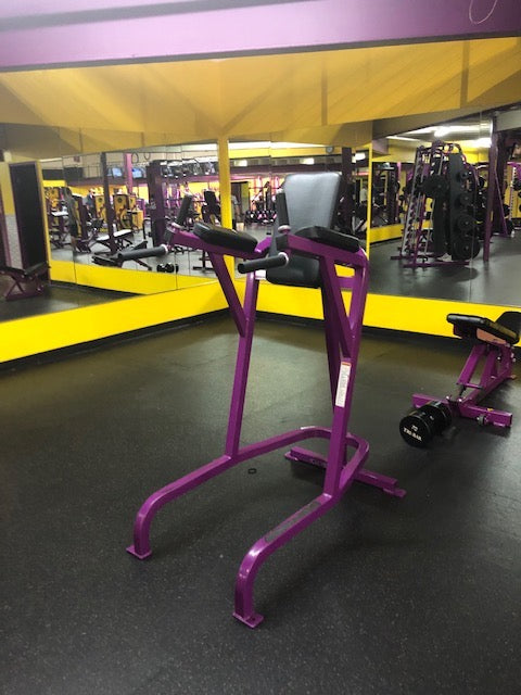 Cybex VKR Vertical Knee Raise Leg Raise Chair – Midwest Used Fitness Equipment