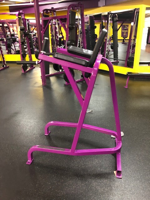 Cybex VKR Vertical Knee Raise Leg Raise Chair