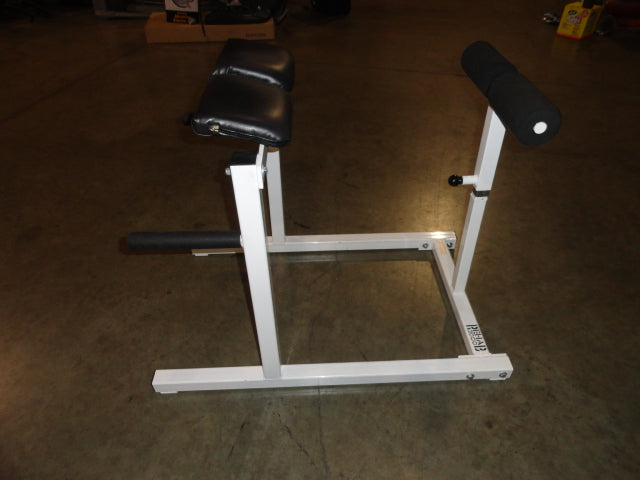 Roman Chair/Gulte Hamstring Developer
