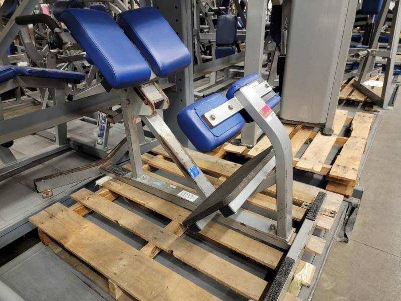 Hammer Strength 45 Degree Back Extension/Hyper Extension