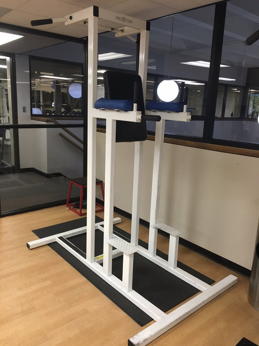 Pro Star VKR Pullup Station