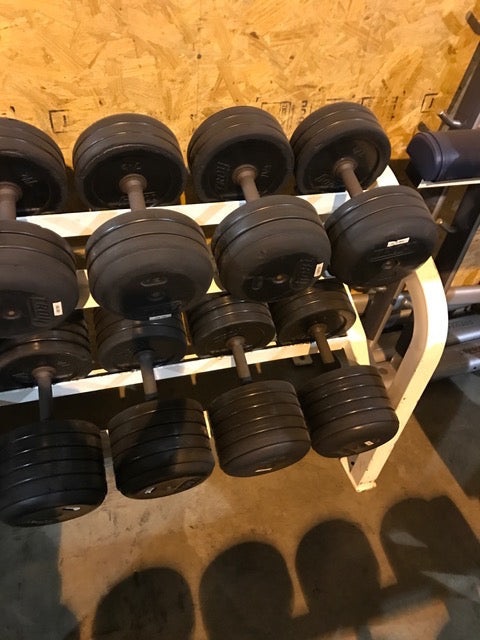 Troy Dumbbells 55-100lb w/ 2 tier rack