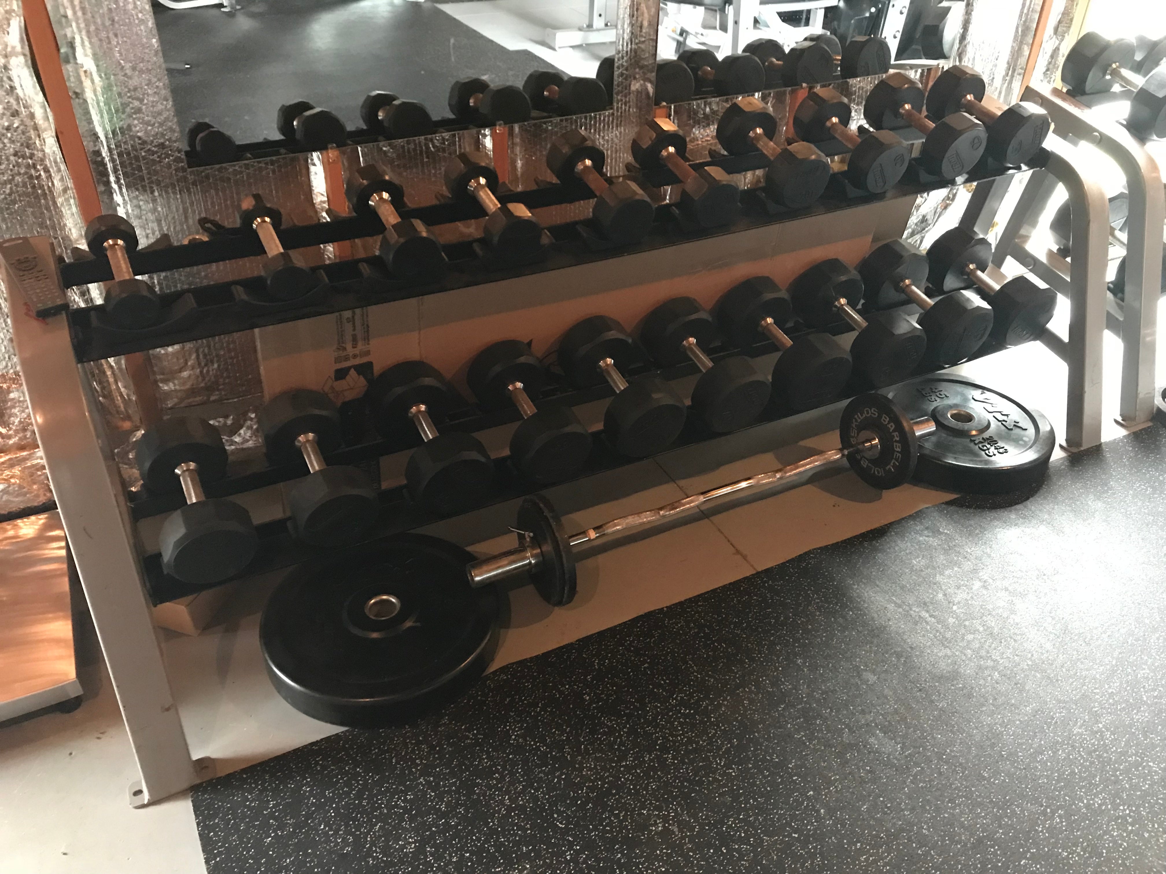 Troy Fitness 5-100 Dumbbells with 2 tier racks – Midwest Used Fitness ...