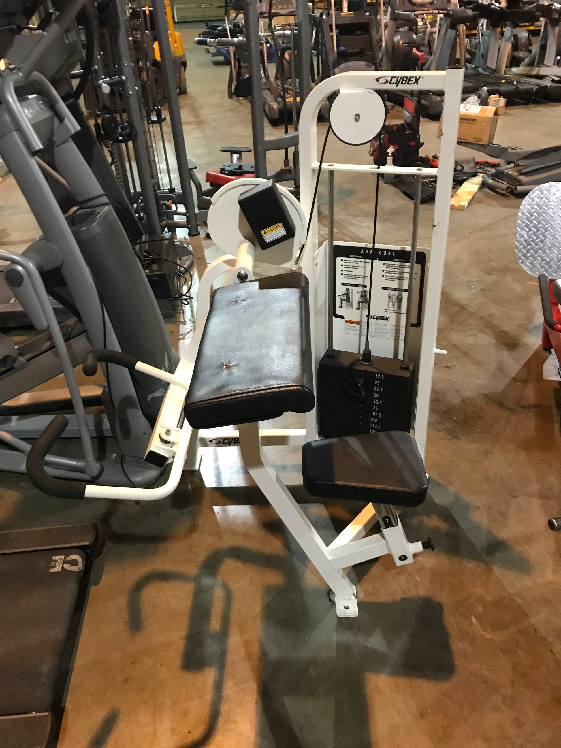 cybex preacher curl machine Cybex VR Bicep Curl Preacher Curl