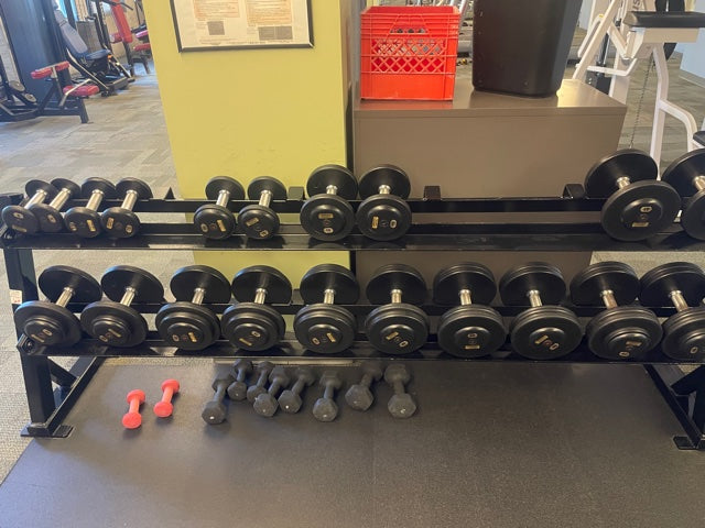 Pro Style 5-100lb Dumbbells w/ racks