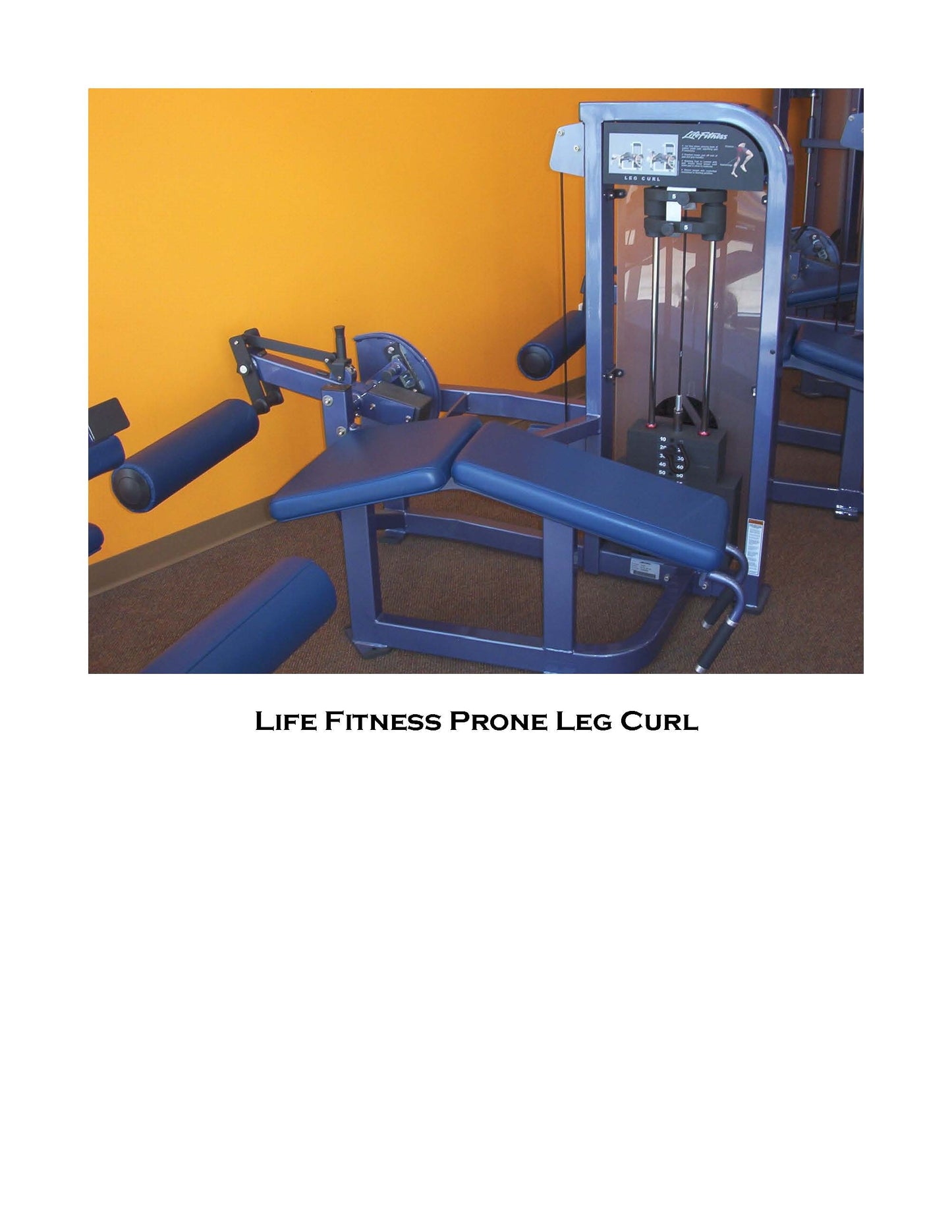 Life Fitness Pro 2 Series Prone Leg Curl