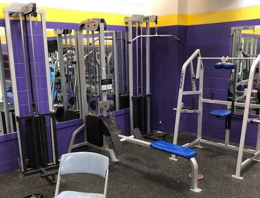 Life Fitness Dual Mid Row Pulley SM16
