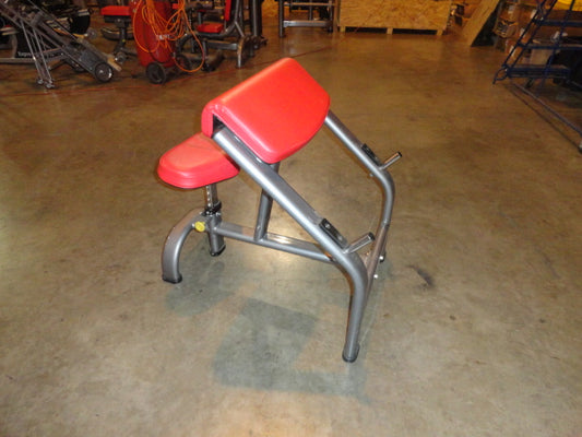 Matrix Preacher Curl Bench G3-FW40