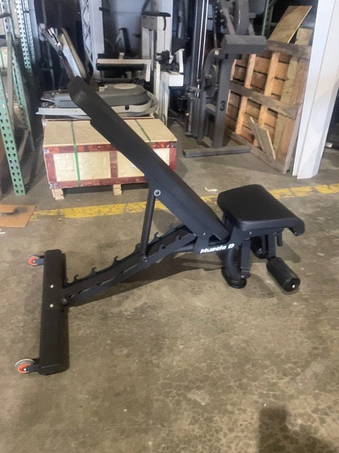 Muscle D Flat Incline Decline Bench