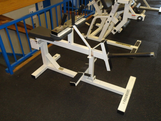 Paramount Seated Calf Extension PFW-5700