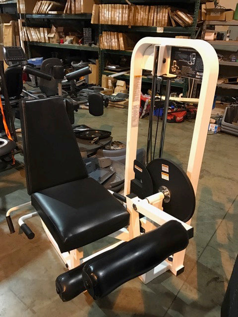 Paramount Leg Curl/Leg Extension dual piece