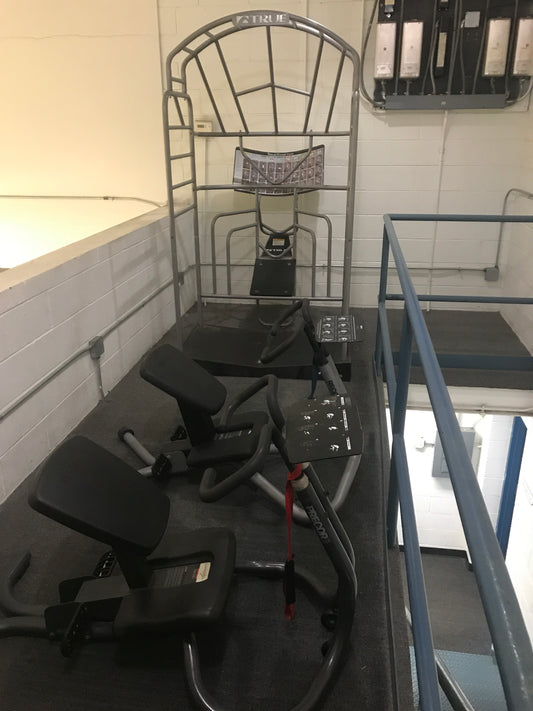 True Fitness Stretch Station